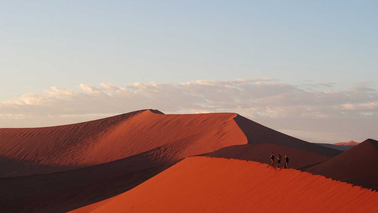 Mehr über den Artikel erfahren Namibia / Südafrika