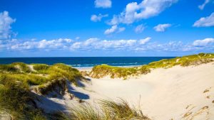 Mehr über den Artikel erfahren Nordsee