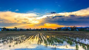 Mehr über den Artikel erfahren Vietnam