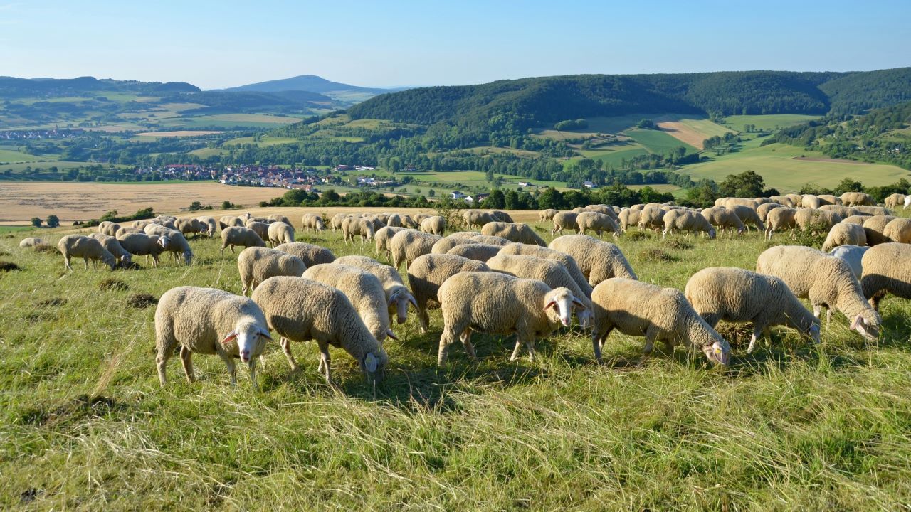 Mehr über den Artikel erfahren Rhön