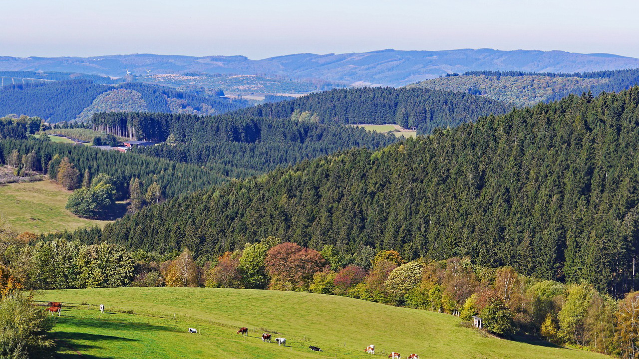 Mehr über den Artikel erfahren Sauerland