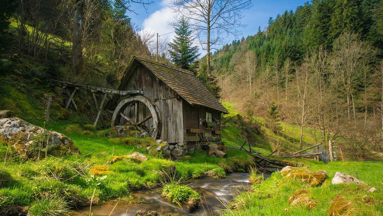 Mehr über den Artikel erfahren Schwarzwald