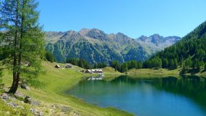 Mehr über den Artikel erfahren Steiermark